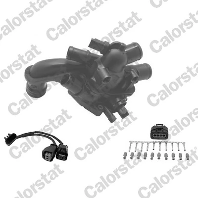 Thermostat, coolant